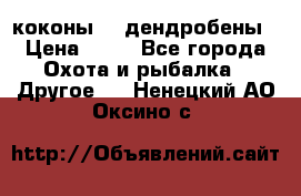 коконы    дендробены › Цена ­ 25 - Все города Охота и рыбалка » Другое   . Ненецкий АО,Оксино с.